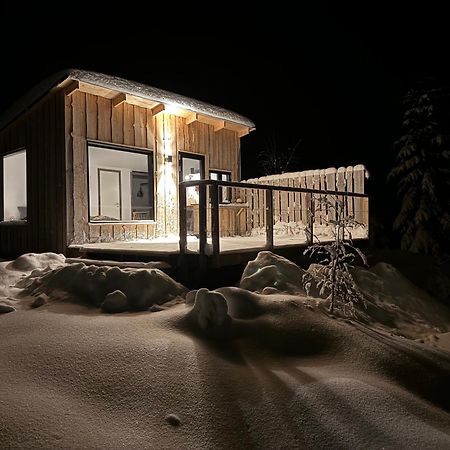 Forest Cabin With Stunning Mountain View & Sauna Торсби Екстериор снимка