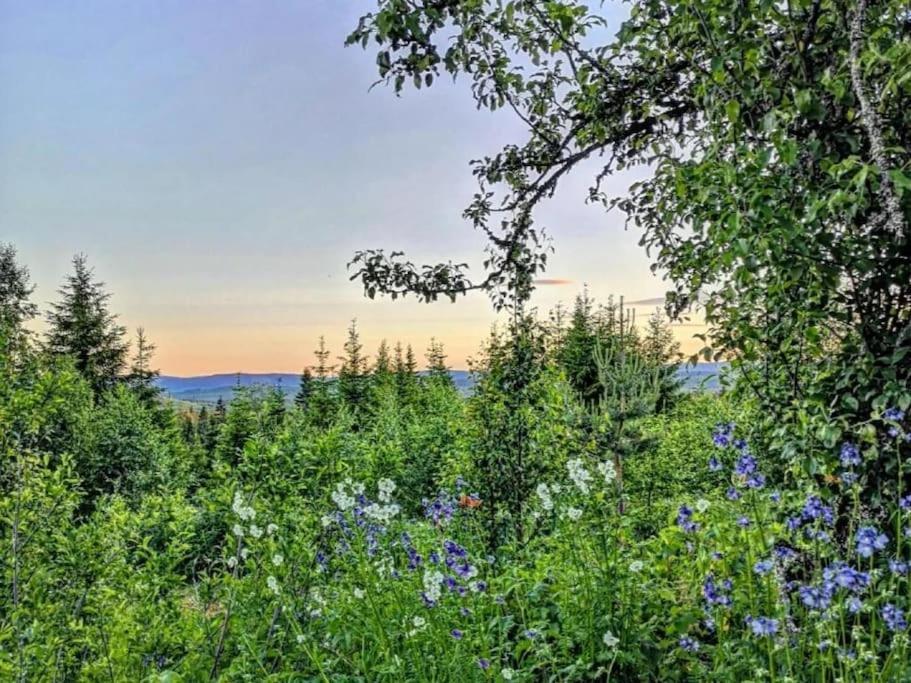 Forest Cabin With Stunning Mountain View & Sauna Торсби Екстериор снимка