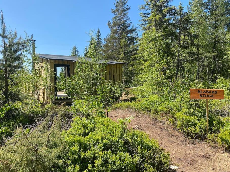 Forest Cabin With Stunning Mountain View & Sauna Торсби Екстериор снимка