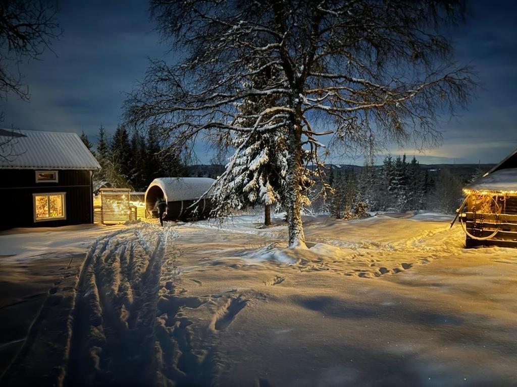 Forest Cabin With Stunning Mountain View & Sauna Торсби Екстериор снимка