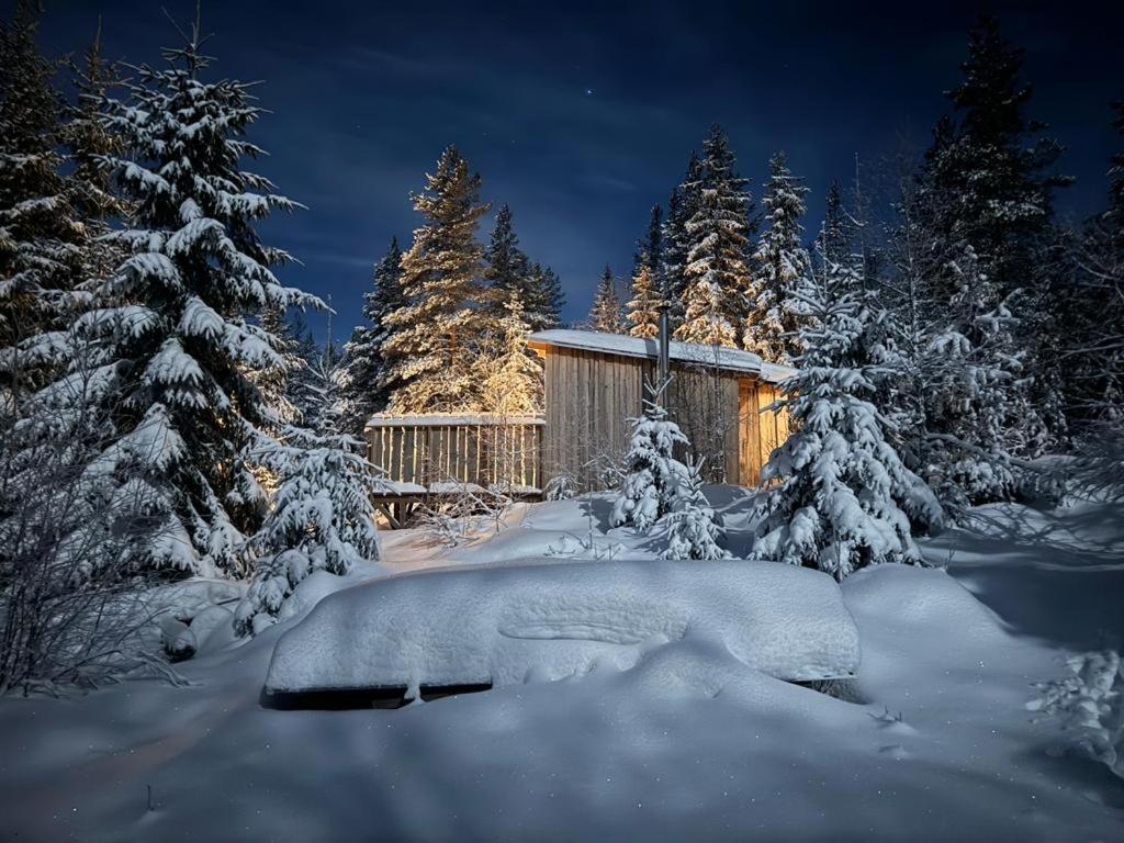 Forest Cabin With Stunning Mountain View & Sauna Торсби Екстериор снимка
