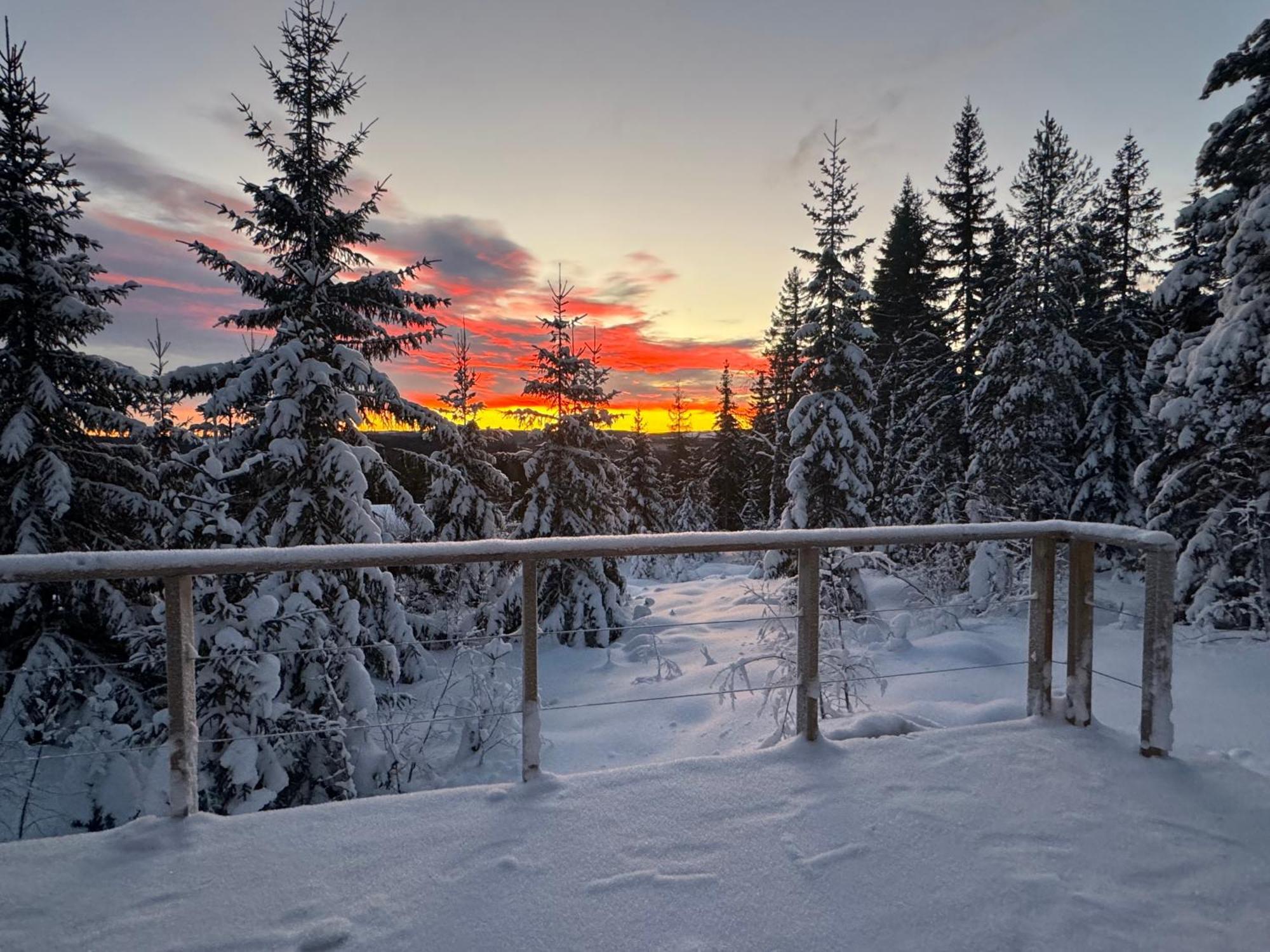 Forest Cabin With Stunning Mountain View & Sauna Торсби Екстериор снимка